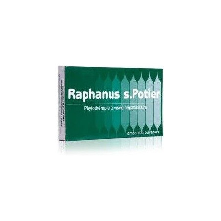 Raphanus