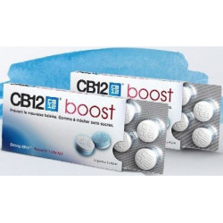 Boost Chewing Gum Prévention Mauvaise Haleine Cb 12