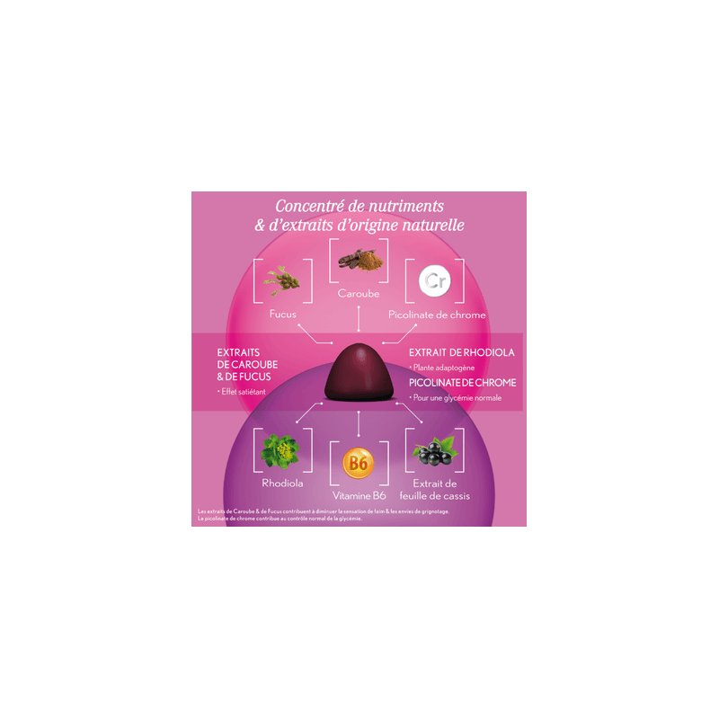 Oenobiol Gummies Minceur - Paramarket