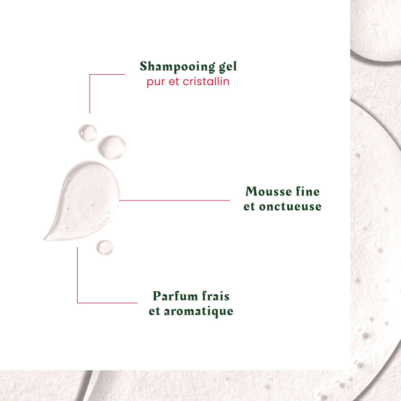 Furterer Neopur Anti-Pelliculaire PG - Paramarket