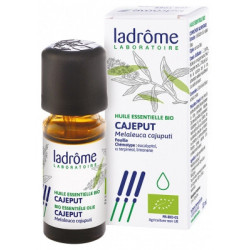 HUILE ESSENTIELLE BIO Cajeput - Paramarket
