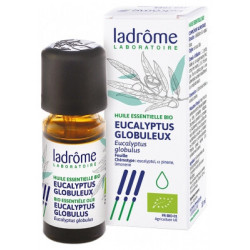 HUILE ESSENTIELLE BIO Eucalyptus Globuleux - Paramarket