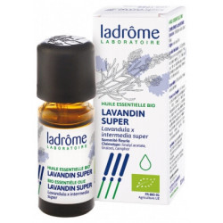 HUILE ESSENTIELLE BIO Lavandin Super 10ML - Paramarket