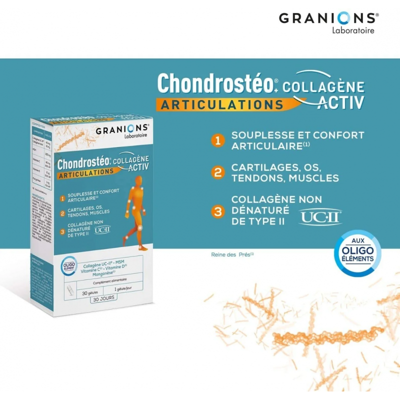 CHONDROSTEO+ Collagène Activ - Paramarket