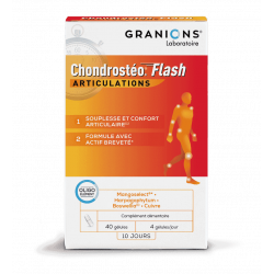 CHONDROSTEO+ Flash Gélules - Paramarket