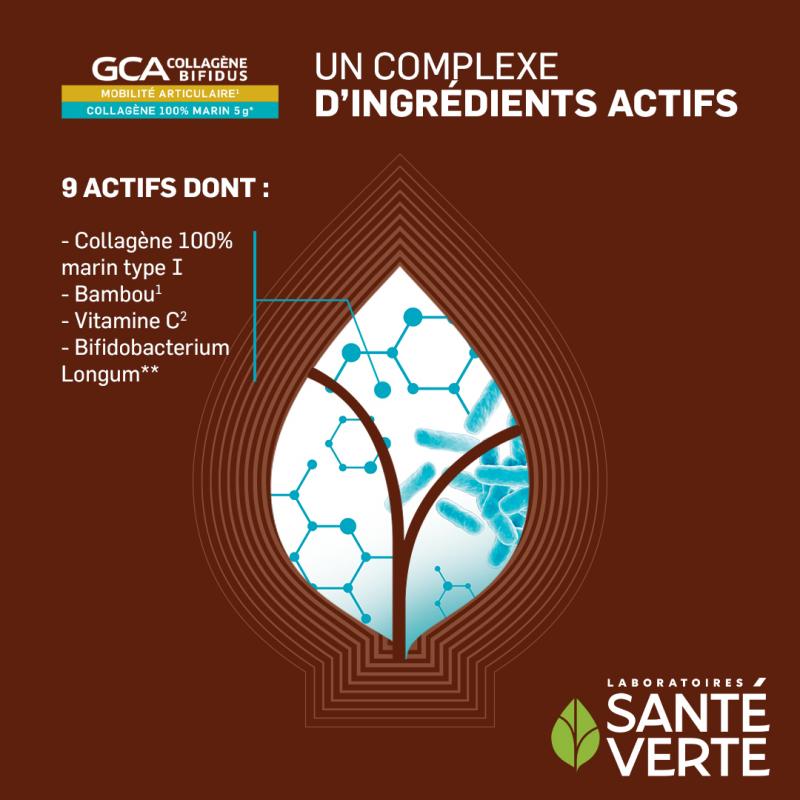 Santé Verte GCA Collagène Bifidus - Paramarket