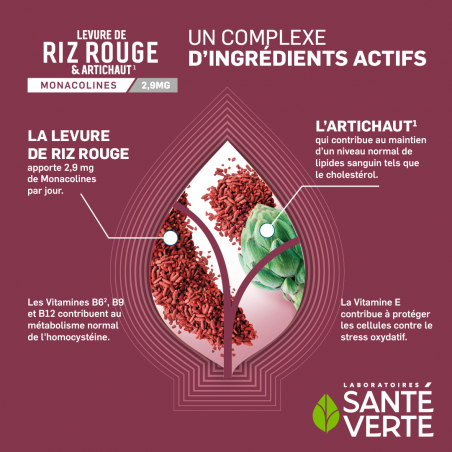 Santé Verte Levure de riz rouge & Artichaut - Paramarket Santé Verte Levure de riz rouge & Artichaut - Paramarket
