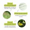 A-Derma Epitheliale A.H Massage Gel-Huile De Massage Anti-Marques – Paramarket.com A-Derma Epitheliale A.H Massage Gel-Huile De Massage Anti-Marques – Paramarket.com