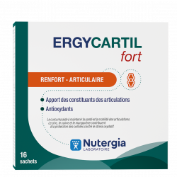 ERGYCARTIL Fort Sachet - Paramarket.com