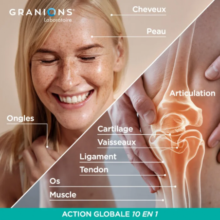 Granions Collagène+ Multi type I, II, III, V, X Poudre – Paramarket.com Granions Collagène+ Multi type I, II, III, V, X Poudre – Paramarket.com