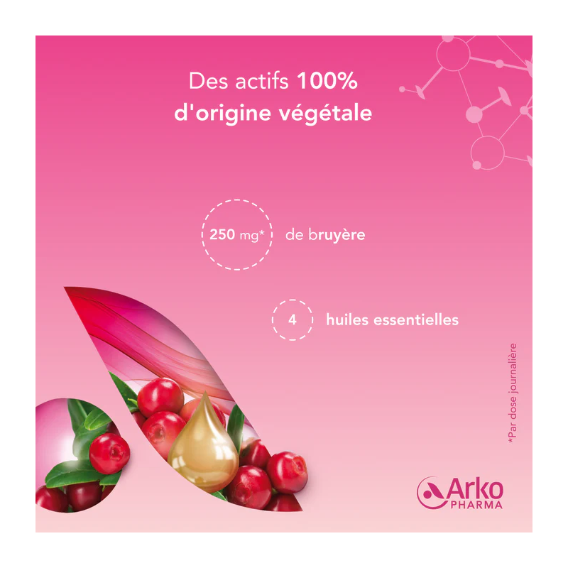 CYS CONTROL Flash - Paramarket.com