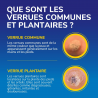 Scholl Traitement verrues Freeze Away MAX mains et pieds – Paramarket.com Scholl Traitement verrues Freeze Away MAX mains et pieds – Paramarket.com