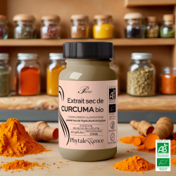 Phytalessence Pure Extrait Sec Curcuma Bio - Paramarket.com