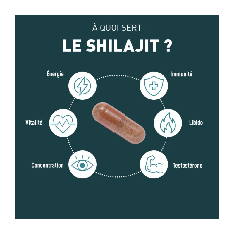 Granions Shilajit 1000mg Gélules - Paramarket.com