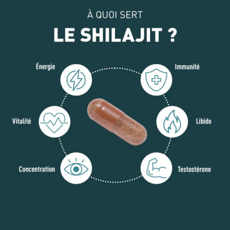Granions Shilajit 1000mg Gélules - Paramarket.com