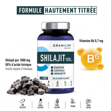 Granions Shilajit 1000mg Gélules - Paramarket.com