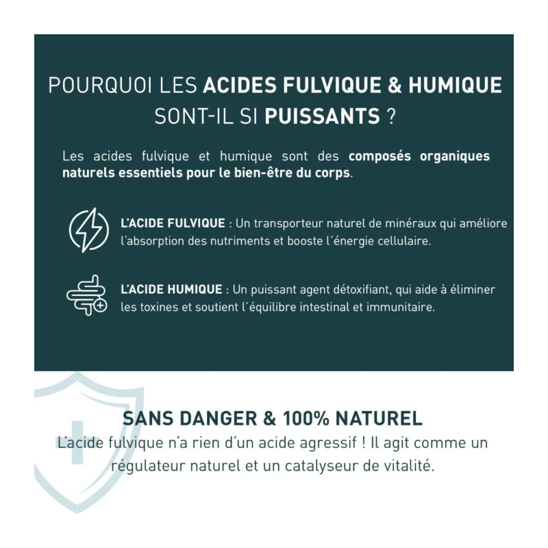 Granions Shilajit 1000mg Gélules - Paramarket.com