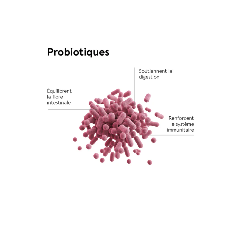 Biocyte Minceur Le ventre plat - Paramarket.com