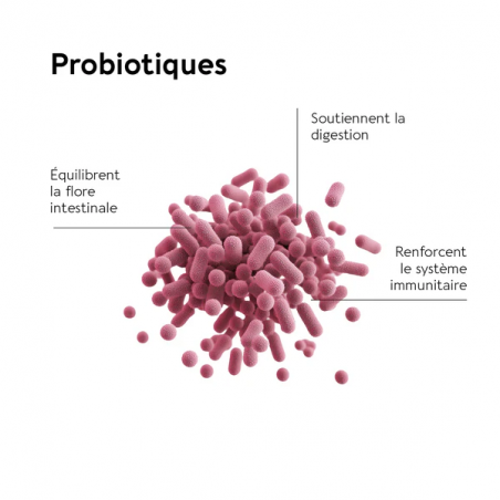 Biocyte Minceur Le ventre plat - Paramarket.com