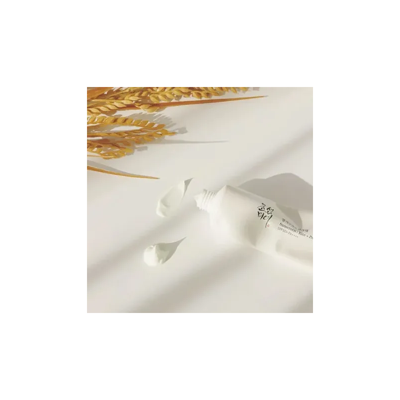 Beauty Of Joseon Relief Sun Rice + Probiotics SPF 50 PA - Paramarket.com