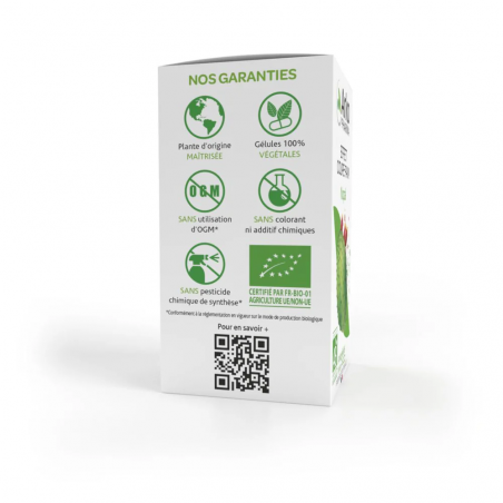 Arkopharma Arkogelules Nopal Bio Effet Coupe-faim – Paramarket.com