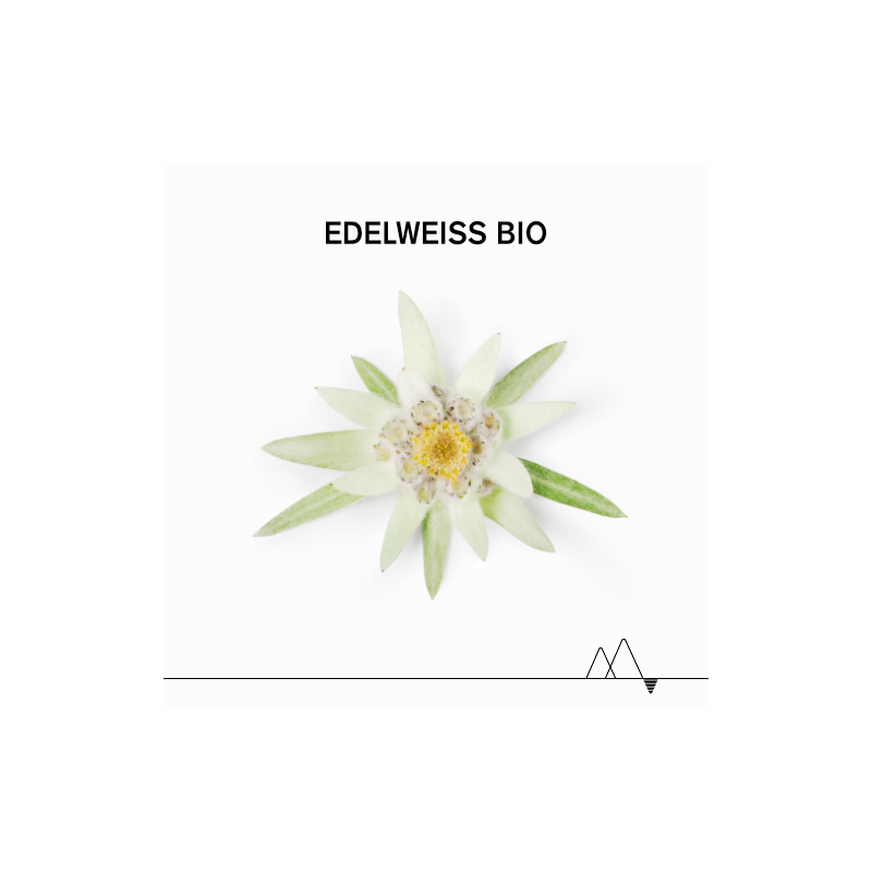 Uriage Bébé 1ère Crème Lavante - Paramarket.com