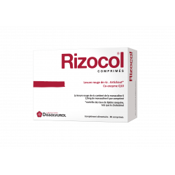 Dissolvurol Rizocol Cholestérol Comprimés - Paramarket.com
