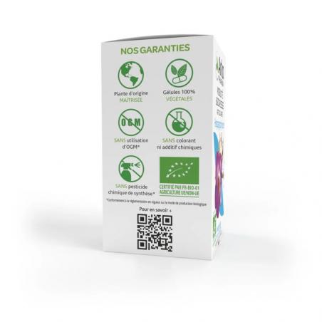 Arkogelules Harpagophytum Bio Mobilité - Paramarket.com