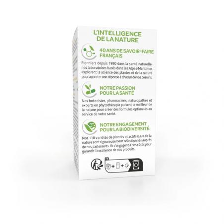 Arkogelules Cranberry Inconfort Urinaire – Paramarket.com