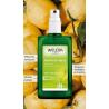 Weleda Déodorant Spray Citrus - Paramarket.com