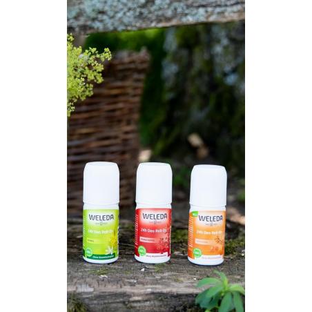 Weleda Déodorant Roll-On 24H Grenade – Paramarket.com