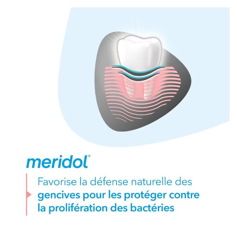 Méridol Dentifrice Protection Gencives & Blancheur – Paramarket.com
