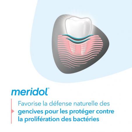 Méridol Dentifrice Protection Gencives & Blancheur – Paramarket.com
