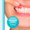 Meridol Brosse A Dents Protection Gencives Médium – Paramarket.com
