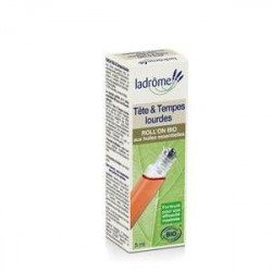 Roll-On Menthe Poivrée Tetes Et Tempes Lourdes des laboratoires Ladrome
