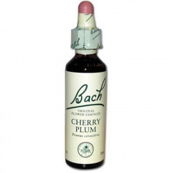 ORIGINAL CHERRY PLUM Maîtrise
