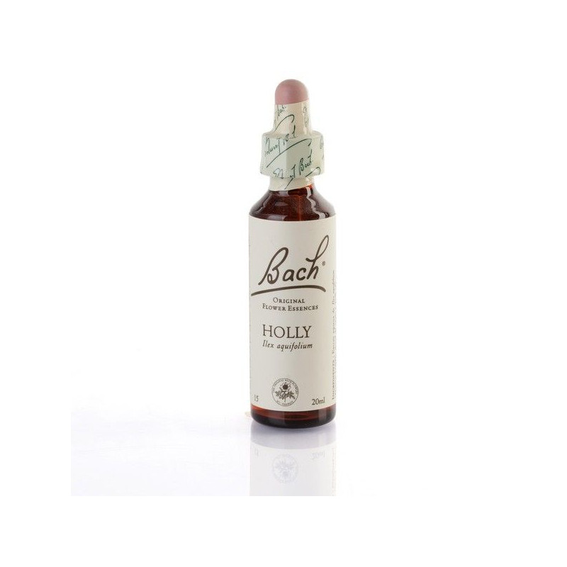 ORIGINAL HOLLY Bienveillance