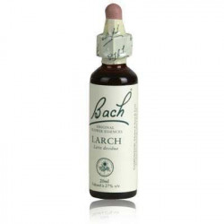 ORIGINAL LARCH Sûreté