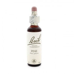ORIGINAL PINE Estime de soi
