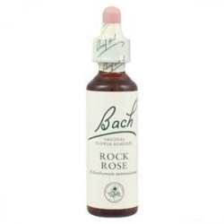 ORIGINAL ROCK ROSE Courage