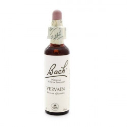 ORIGINAL VERVAIN Modération