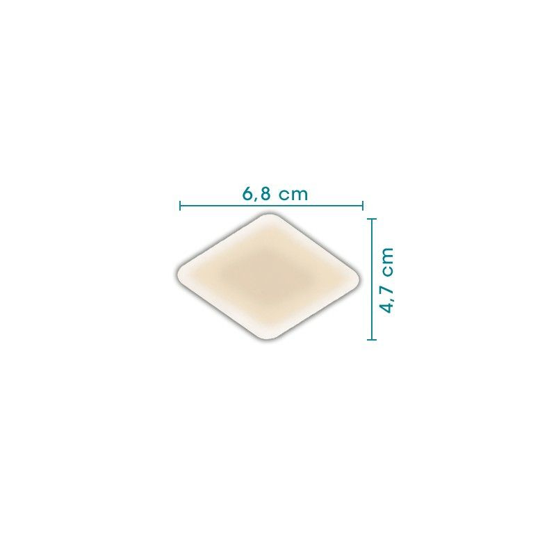 Oignons des laboratoires Compeed