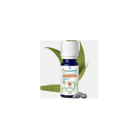 HUILES ESSENTIELLES Eucalyptus Globuleux Bio