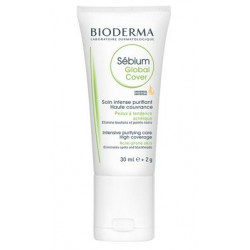 Sebium Global Cover - Paramarket.com