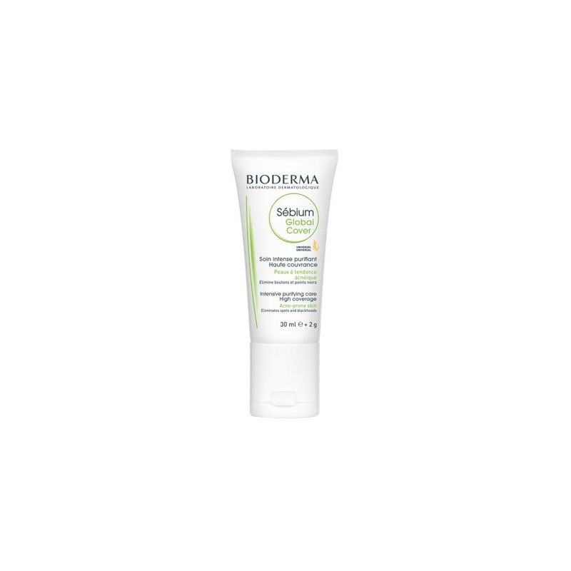 Sebium Global Cover - Paramarket.com